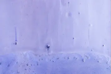 Professional damp proofing and waterproofing solutions for homes in Delhi NCR